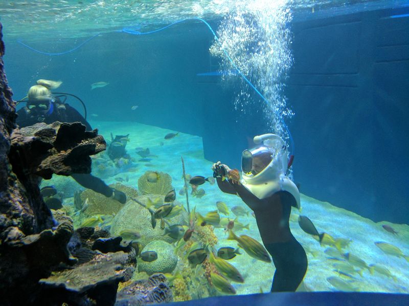 The Aquarium That Changes Everything