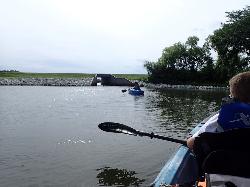 Pristine Water Quality And Clarity