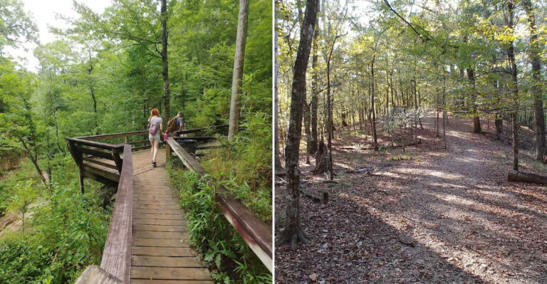 This Beautiful Mississippi 4 Mile Trail Packs Waterfalls, Forests And Amazing Views Into One Hike