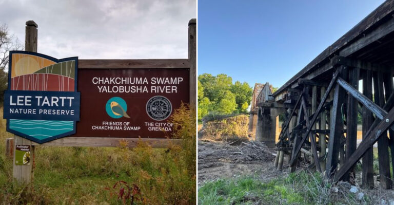 This Beautiful Mississippi Trail Offers A Magical Outdoor Experience Away From The Crowds