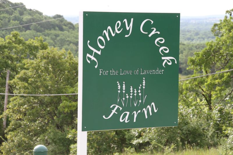 A Farm Experience With Real Personality