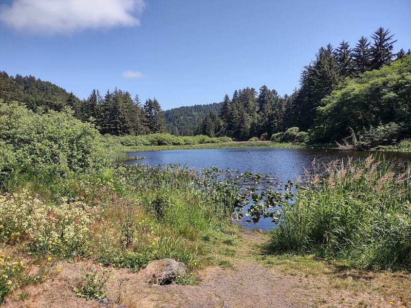The Trailhead That Starts Everything Right