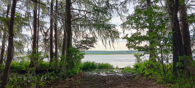 Exploring The Scenic River Views And Nature
