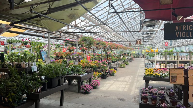 Cultivating Community Roots Since 1959