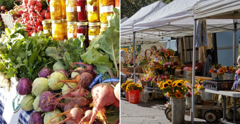 This Colorado Park Becomes A Farmers Market Every Wednesday From May Through October