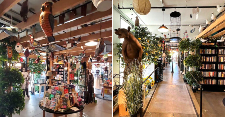 This Cozy Nevada Bookstore Feels Like It Belongs In A Storybook