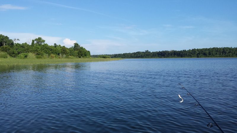 A Spring-Fed Wonder That Defies Typical Florida Lakes