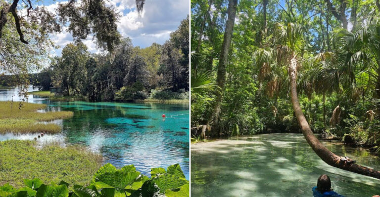 This Crystal-Clear Spring in Florida Is So Blue It Looks Photoshopped Until You See It in Person