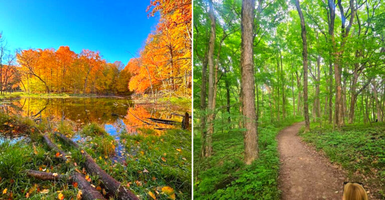 This Easy Half-Mile Wisconsin Boardwalk Ends At A Peaceful Lake Overlook