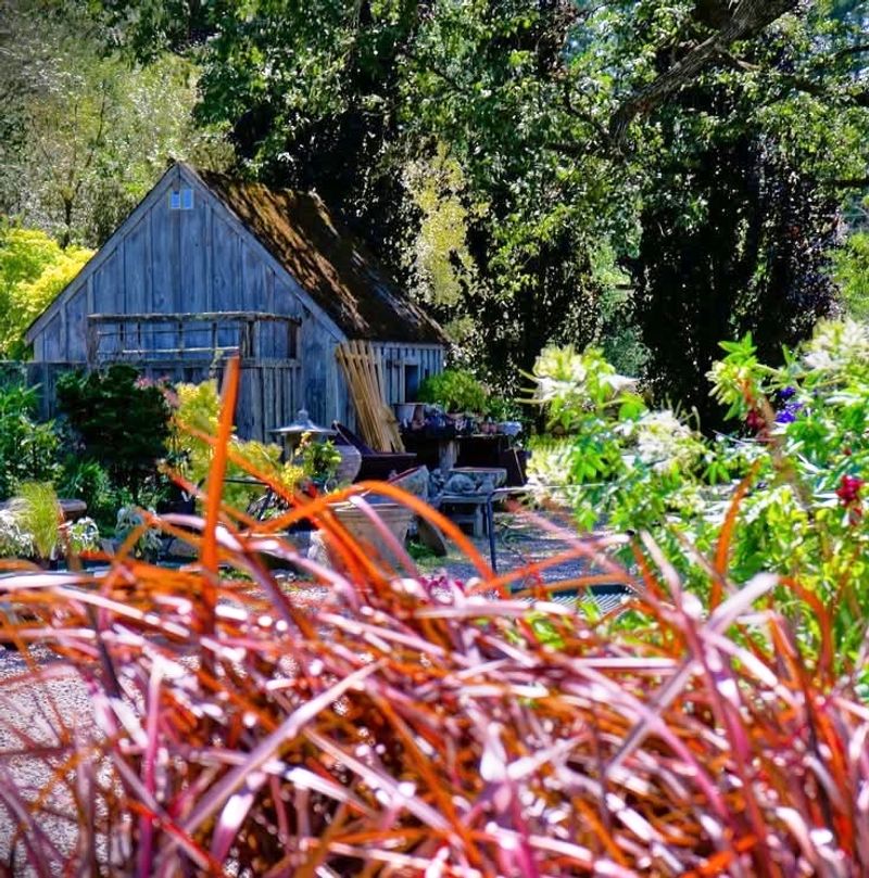 A Nursery Unlike Any Other