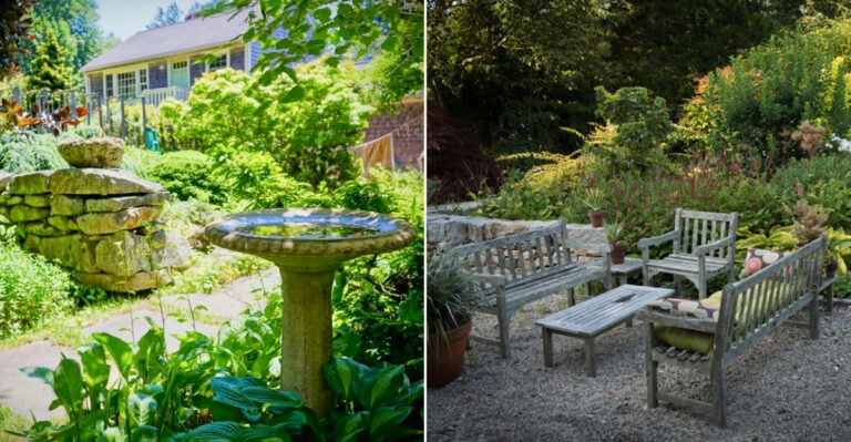 This Enchanting Massachusetts Plant Shop Feels Hidden From The Rest Of The World