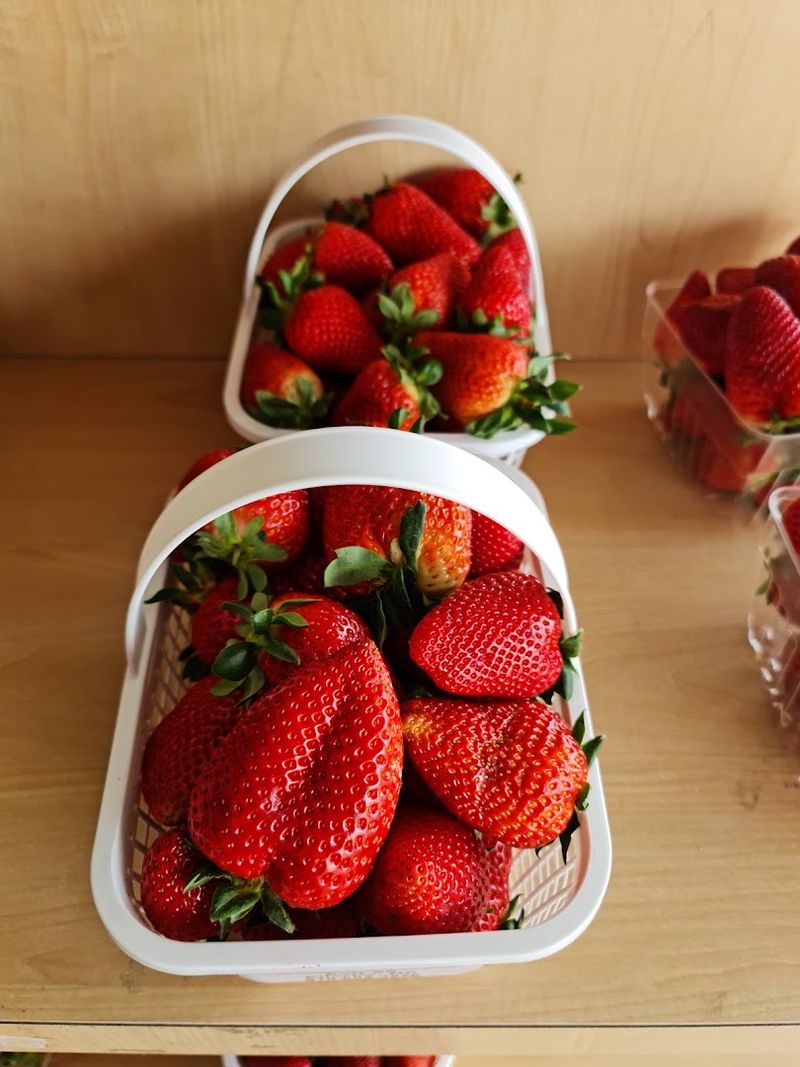 Strawberry Cultivation Techniques Unique To North Carolina