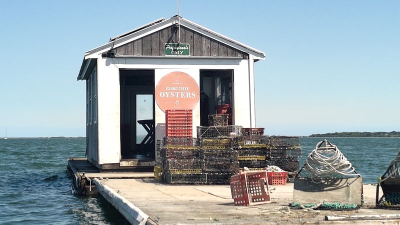 These Flavors Come Straight From The Tide Itself