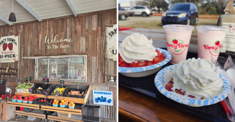 This Florida Roadside Stand Has Peach Cobbler Travelers Cannot Stop Talking About