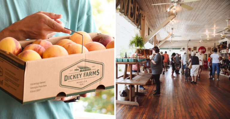 This Georgia Farm Stand Has Peaches You Will Want To Plan A Summer Drive Around