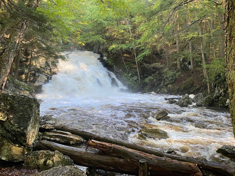 A Waterfall Loud Enough To Hear Before You See It