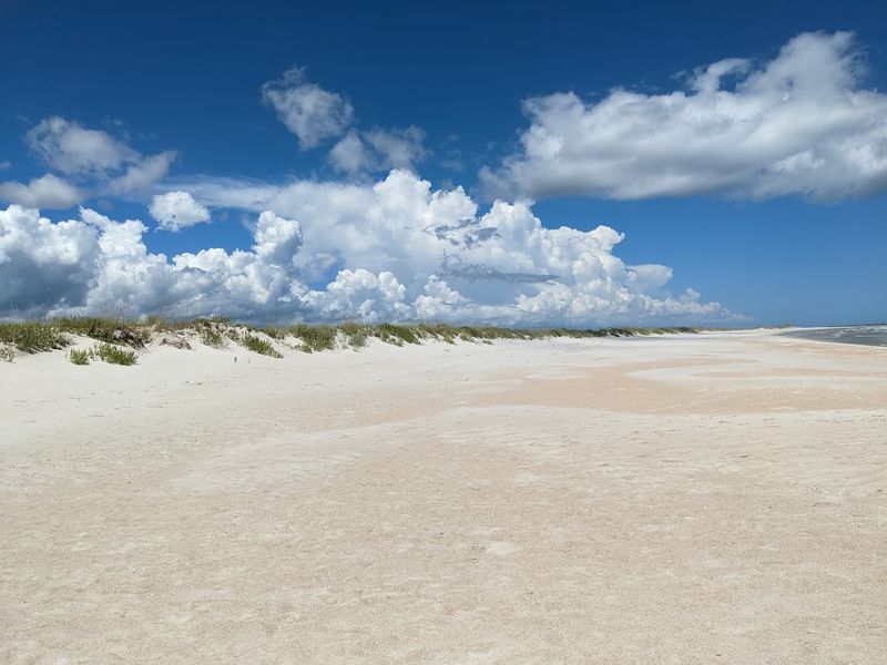 North Carolina's Largest Undisturbed Barrier Island