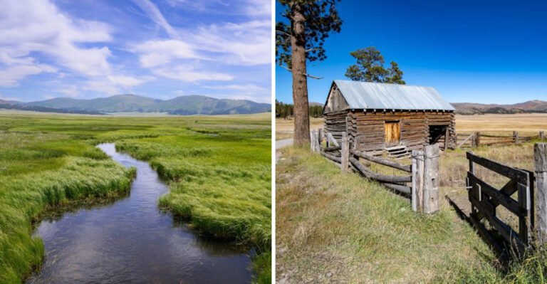This Hidden New Mexico Meadow Is Considered One Of The Best Kept Secrets In The Rockies