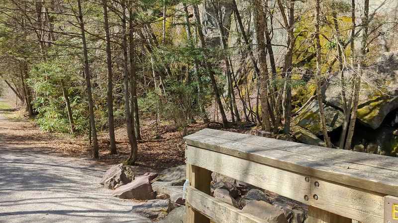 A Gentle Grade Makes The Trail More Approachable Than Its Length Suggests