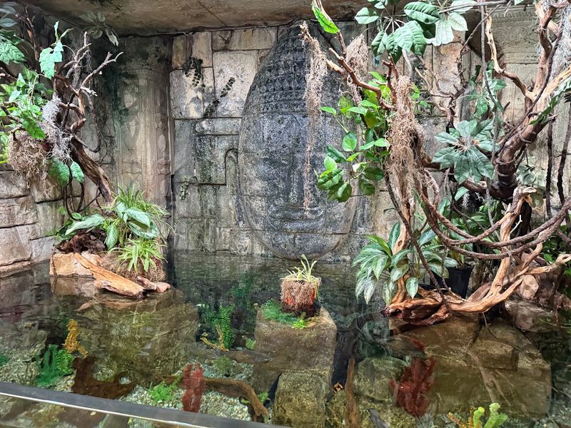 A Jungle Before the Ocean Even Begins