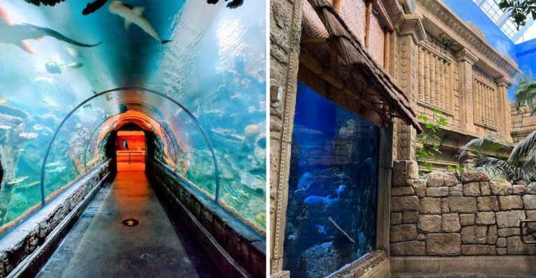 This Las Vegas, Nevada, Aquarium Hides Sharks Beneath a Tropical Rainforest Roof