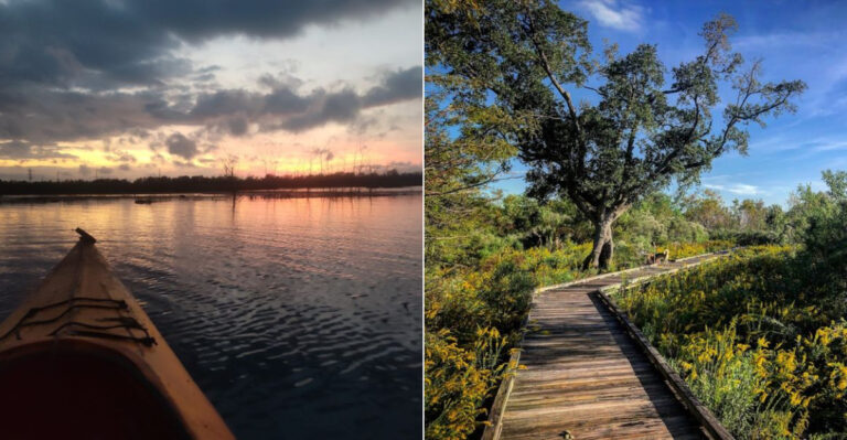 This Louisiana River Backwater Is A Stunning Escape Worth Seeking Out