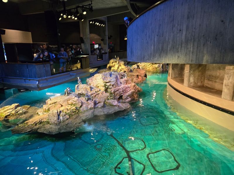 Giant Ocean Tank Immersion