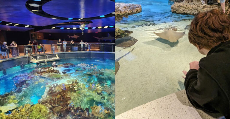 This Massachusetts Aquarium Brings You Face To Face With Ocean Life