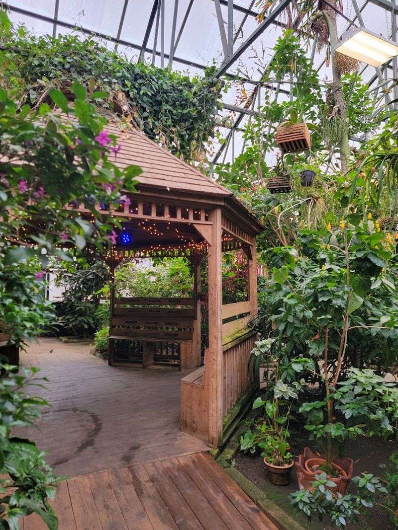Let This Bright Indoor Garden Lift Your Mood