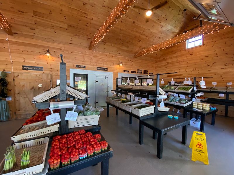 Seasonal Fruit Varieties And Their Ripening Times