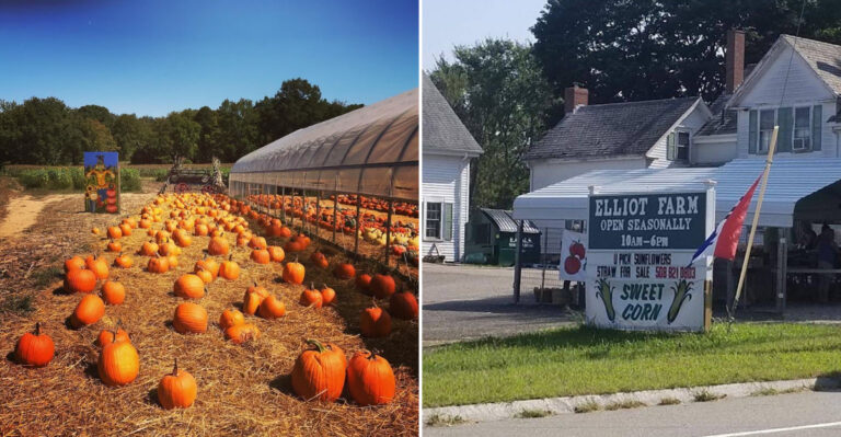 This Massachusetts Farm Market Offers A Sweet Summer Tradition Locals Love
