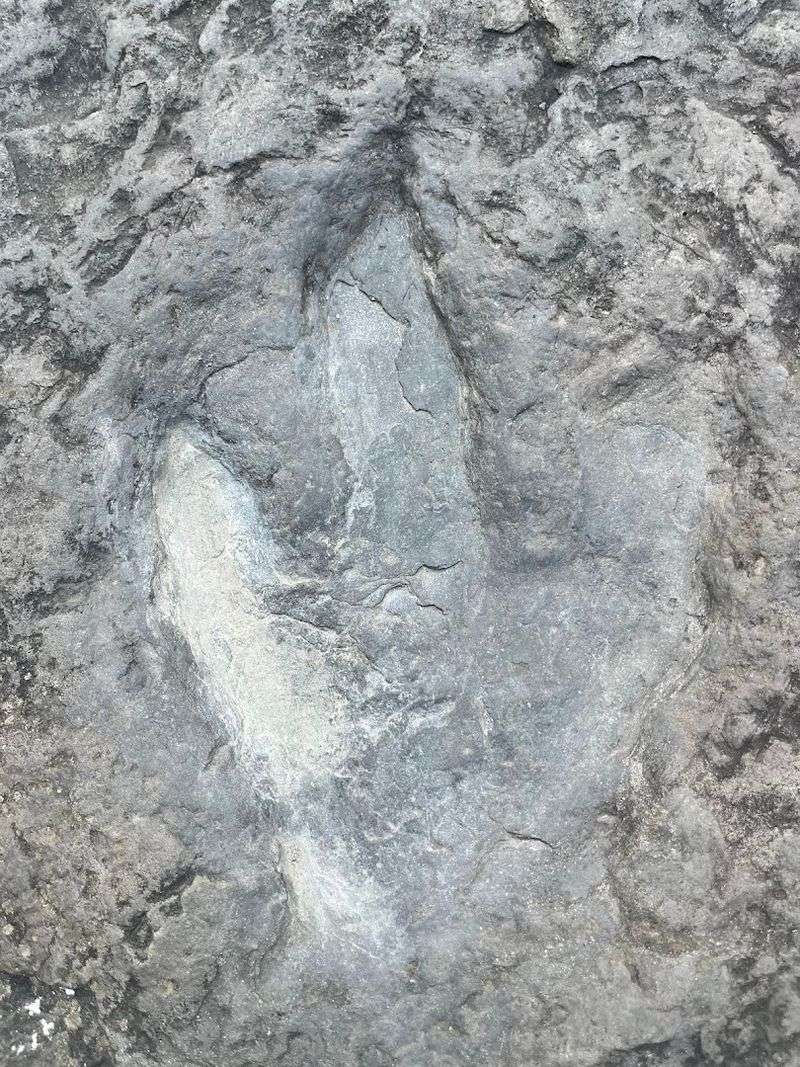 Ancient Footprints In Stone
