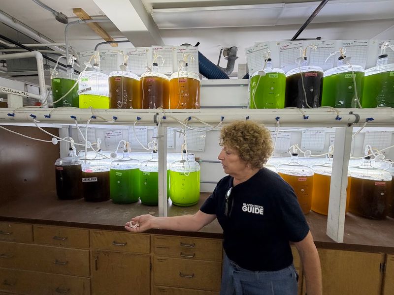 This Is Where You See Marine Cultivation Up Close And Personal