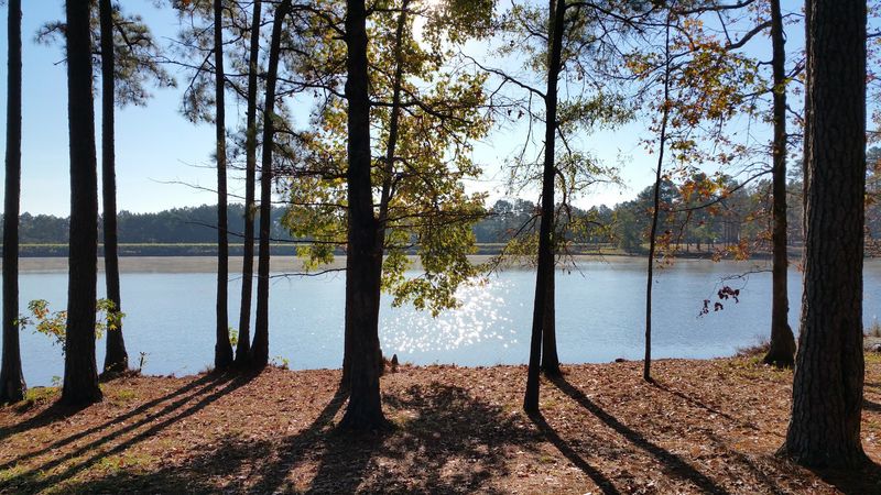 A Mile Long Nature Trail Winds Through Pines, Magnolias, And Dogwoods