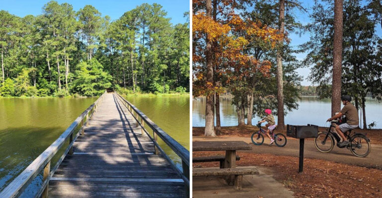 This Massive Mississippi State Park Is Still Unknown To Most Residents