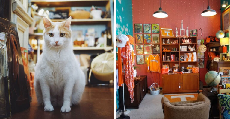 This Massive Secondhand Shop In Tennessee Makes $23 Go A Seriously Long Way