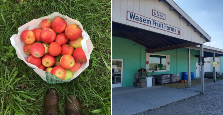 This Michigan Apple Orchard Turns Pick-Your-Own Weekends Into A Beloved Family Tradition