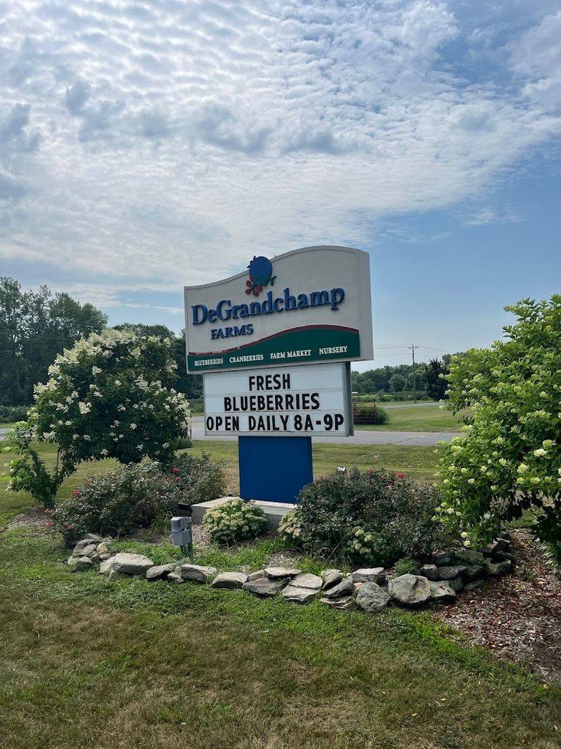 A Third Generation Farm Has Kept South Haven Picking Since 1958