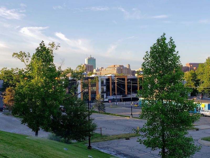 The Roots Of A City Built On Bur Oaks And Bold Ambitions
