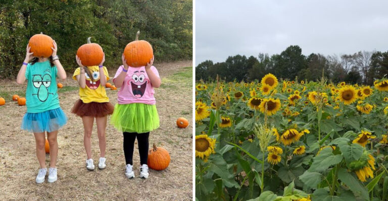 This Mississippi Family Farm Has Hayrides, Pumpkins, And Fresh Cane Syrup Worth The Drive