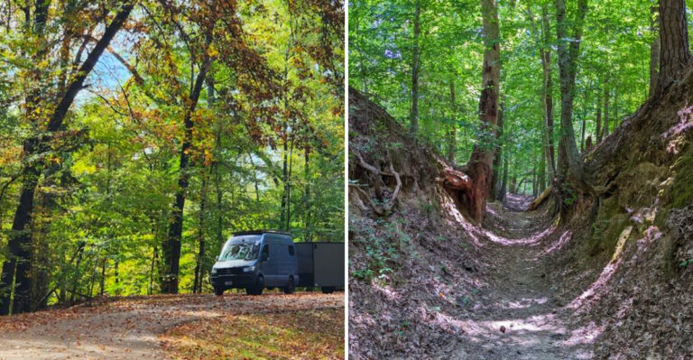 This Mississippi Trail Follows A Sunken Road Walked By Travelers More Than 200 Years Ago