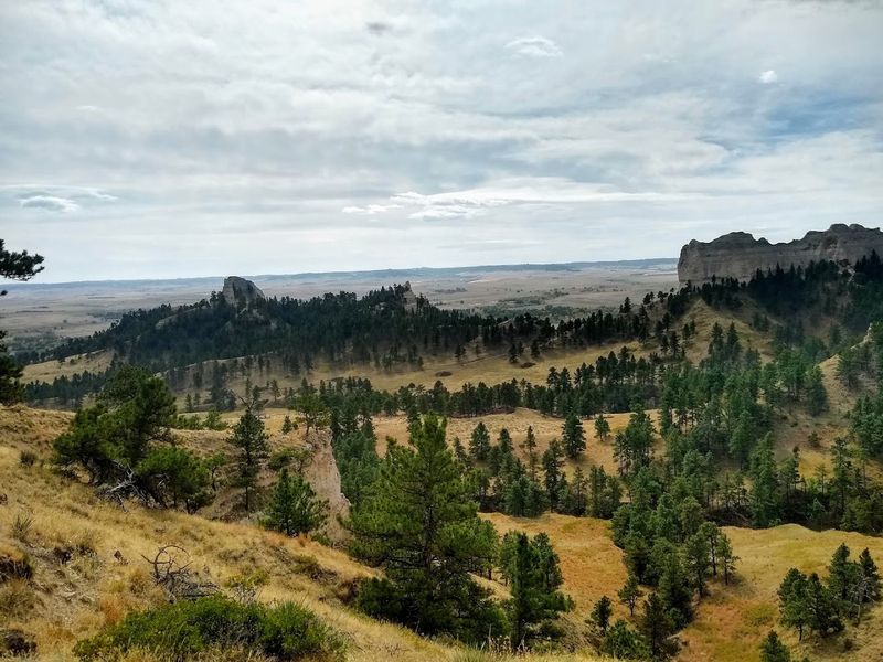 A Landscape That Defies Expectations