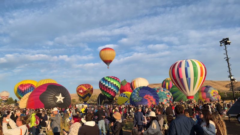 It Has Grown From 20 Balloons To Nearly 100