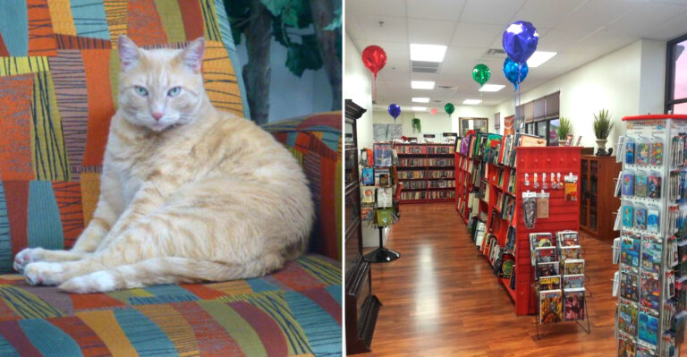 This Nevada Bookstore Rewards Anyone Willing To Dig Through The Shelves