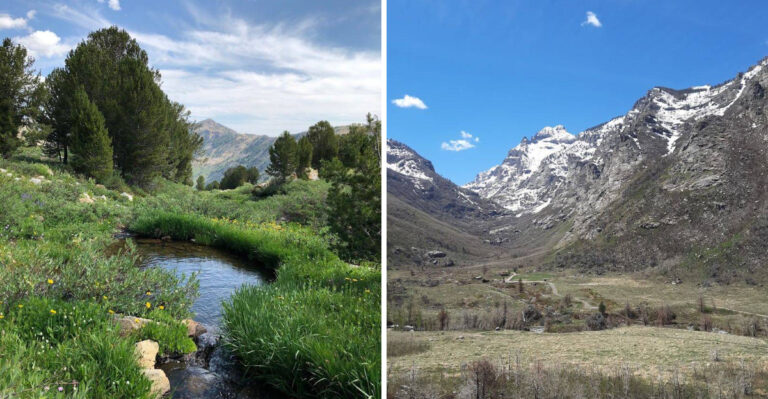 This Nevada Canyon Delivers Mountain Scenery Most People Don’t Expect In The Desert