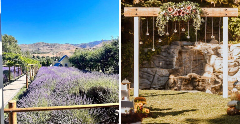This Nevada Farm Creates A Sea Of Purple Lavender Every Summer