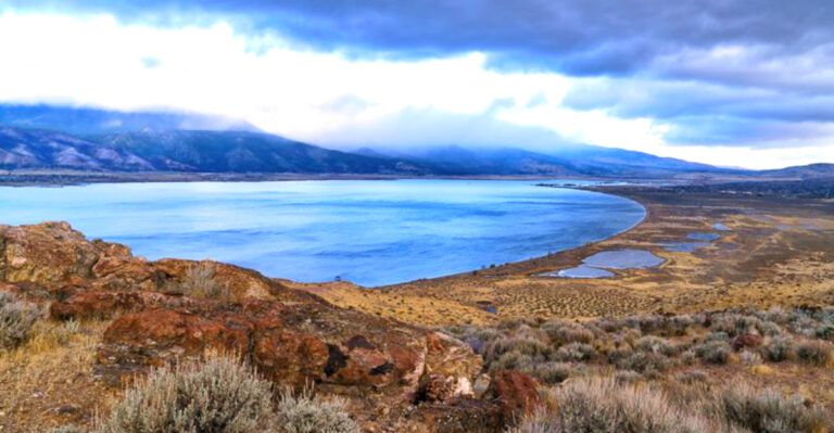 This Nevada Lake Town Has Wild Horses Wandering Its Shoreline