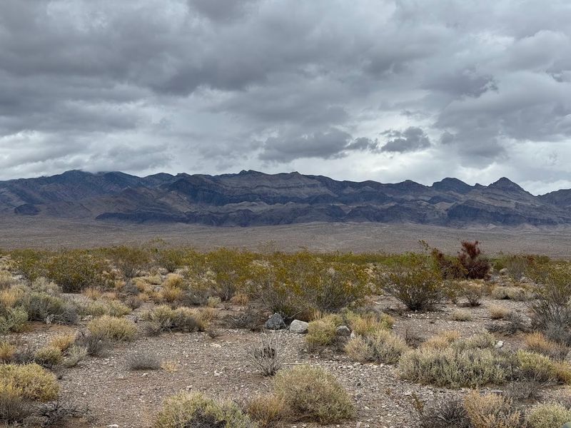 The Sheer Size Of This Refuge Will Blow Your Mind