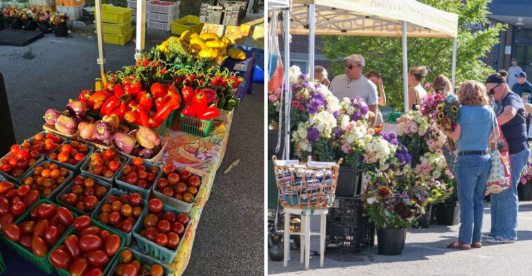 This New Hampshire Farmers Market Turns Saturdays Into The Best Day Of The Week