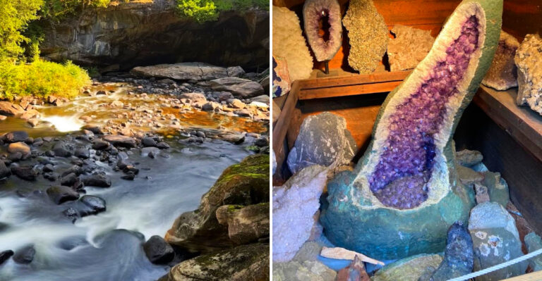 This New York Fossil Dig Lets You Keep Every Prehistoric Shell You Find